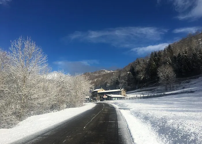 El Quinta